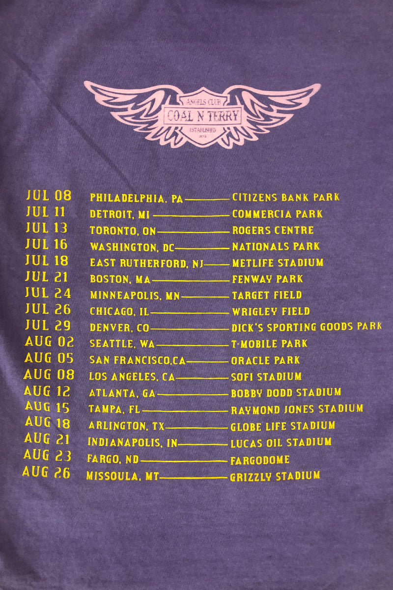 紫色 N 金色 TOUR LIFE T 恤